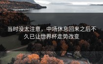 当时没太注意，中场休息回来之后不久已让世界杯走势改变